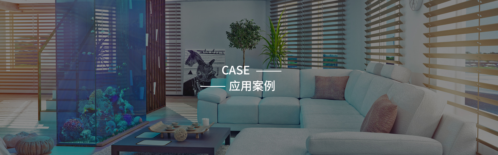 应用案例
